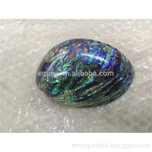 cheap price raw abalone mother of pearl shell material